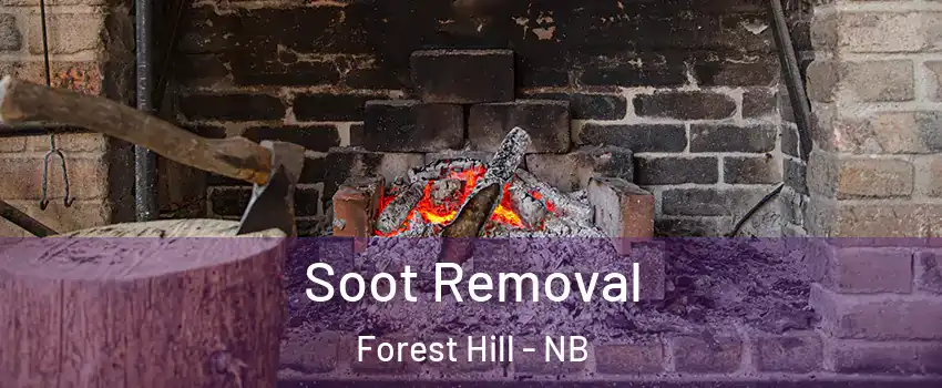  Soot Removal Forest Hill - NB