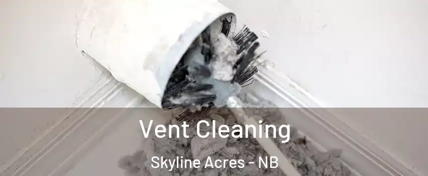  Vent Cleaning Skyline Acres - NB