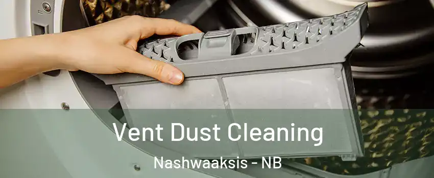  Vent Dust Cleaning Nashwaaksis - NB