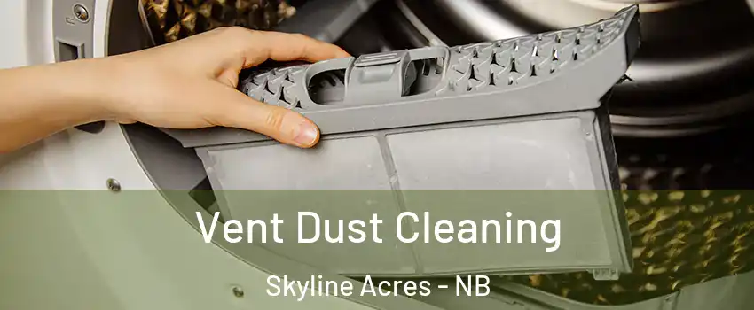  Vent Dust Cleaning Skyline Acres - NB