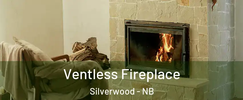  Ventless Fireplace Silverwood - NB