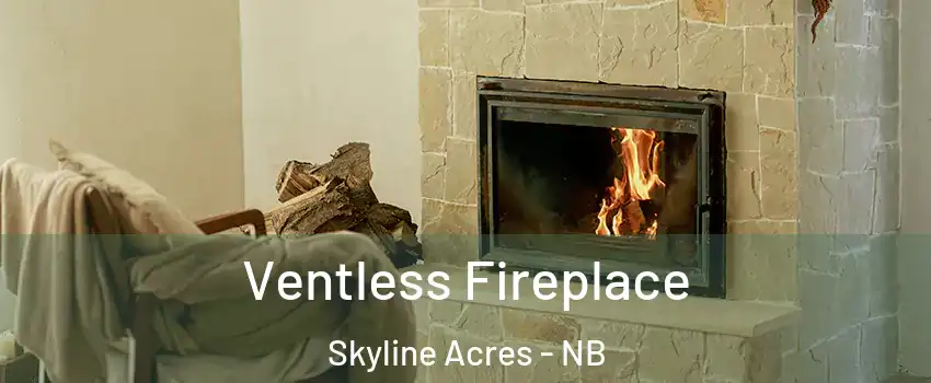  Ventless Fireplace Skyline Acres - NB