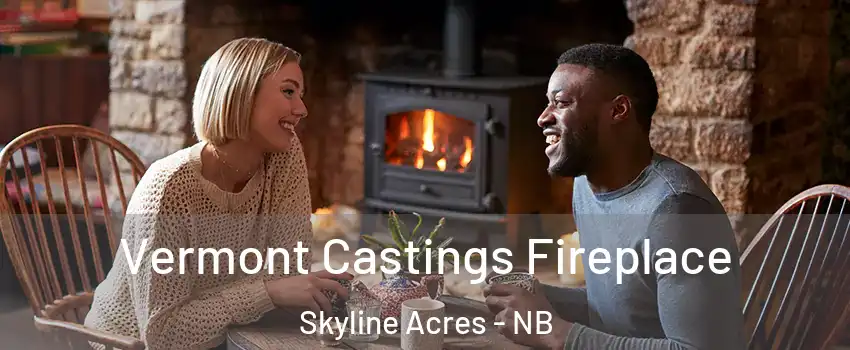  Vermont Castings Fireplace Skyline Acres - NB