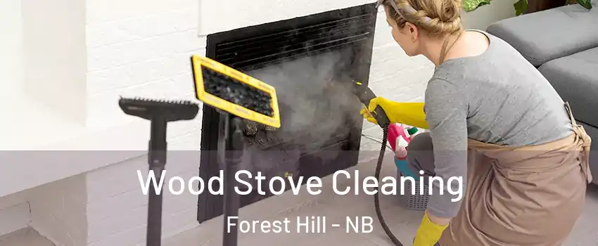  Wood Stove Cleaning Forest Hill - NB