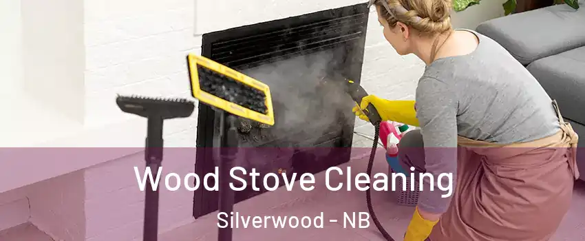  Wood Stove Cleaning Silverwood - NB