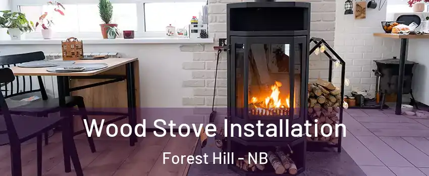  Wood Stove Installation Forest Hill - NB