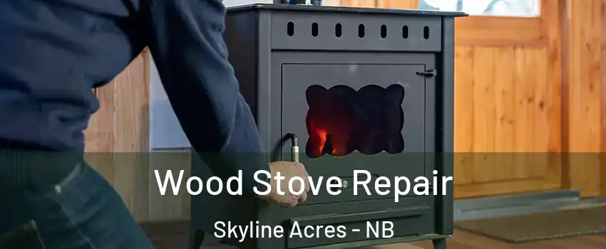  Wood Stove Repair Skyline Acres - NB